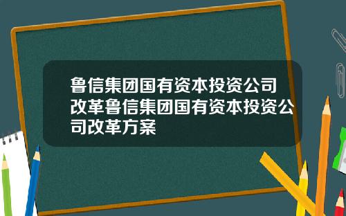 鲁信集团国有资本投资公司改革鲁信集团国有资本投资公司改革方案