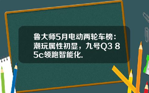 鲁大师5月电动两轮车榜：潮玩属性初显，九号Q3 85c领跑智能化.