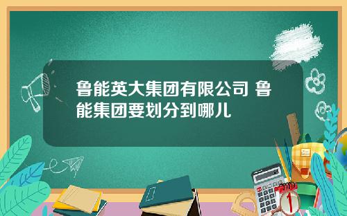 鲁能英大集团有限公司 鲁能集团要划分到哪儿