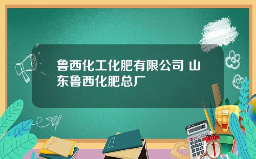 鲁西化工化肥有限公司 山东鲁西化肥总厂