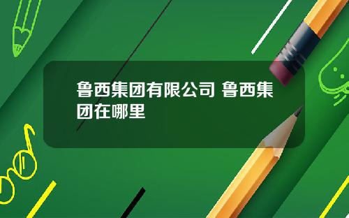 鲁西集团有限公司 鲁西集团在哪里