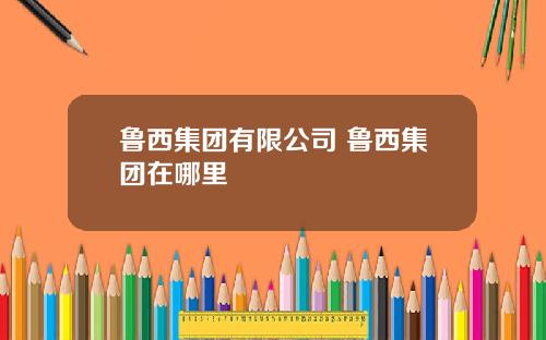 鲁西集团有限公司 鲁西集团在哪里