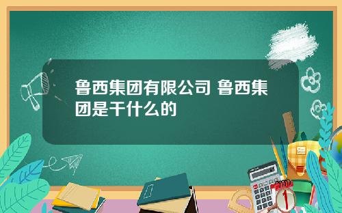 鲁西集团有限公司 鲁西集团是干什么的