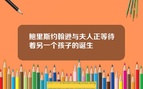 鲍里斯约翰逊与夫人正等待着另一个孩子的诞生