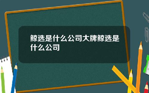 鲸选是什么公司大牌鲸选是什么公司