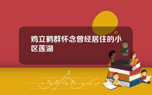 鸡立鹤群怀念曾经居住的小区莲湖