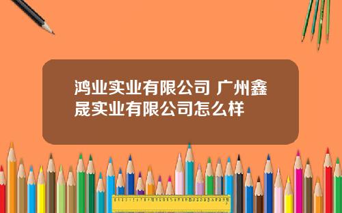 鸿业实业有限公司 广州鑫晟实业有限公司怎么样