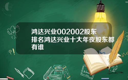 鸿达兴业002002股东排名鸿达兴业十大年夜股东都有谁
