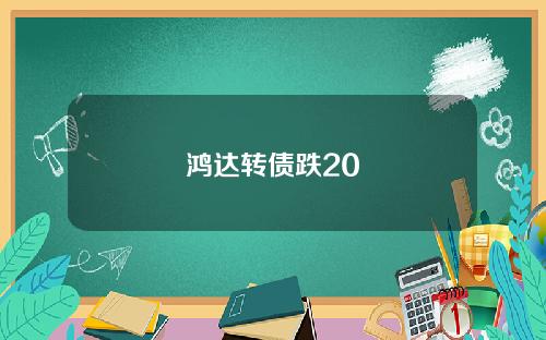 鸿达转债跌20