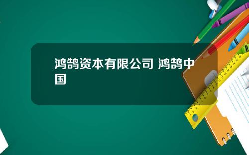 鸿鹄资本有限公司 鸿鹄中国
