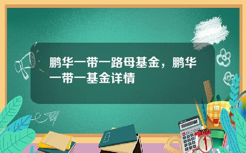鹏华一带一路母基金，鹏华一带一基金详情