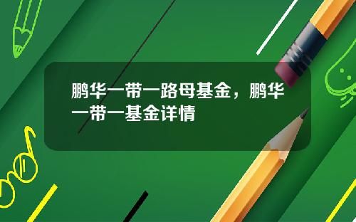 鹏华一带一路母基金，鹏华一带一基金详情