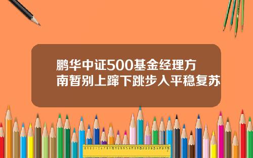 鹏华中证500基金经理方南暂别上蹿下跳步入平稳复苏