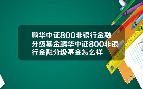 鹏华中证800非银行金融分级基金鹏华中证800非银行金融分级基金怎么样