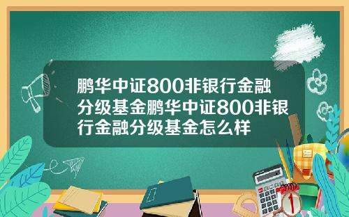 鹏华中证800非银行金融分级基金鹏华中证800非银行金融分级基金怎么样