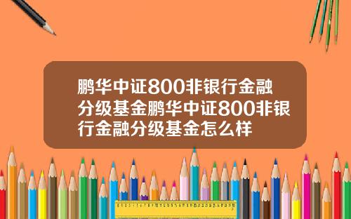鹏华中证800非银行金融分级基金鹏华中证800非银行金融分级基金怎么样