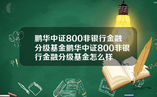 鹏华中证800非银行金融分级基金鹏华中证800非银行金融分级基金怎么样