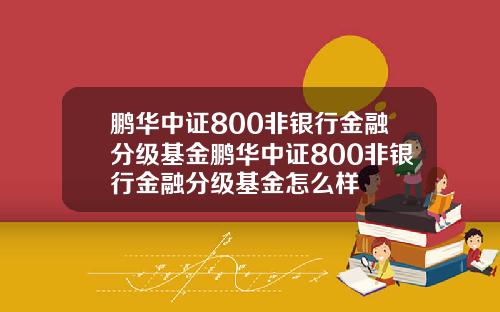 鹏华中证800非银行金融分级基金鹏华中证800非银行金融分级基金怎么样