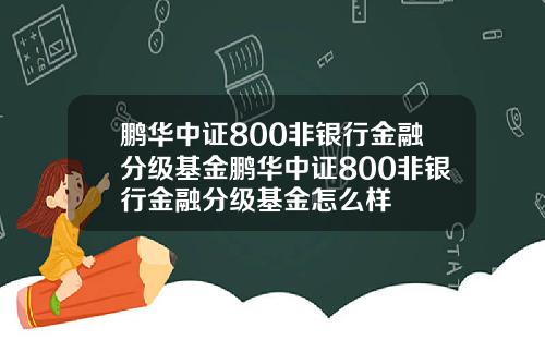 鹏华中证800非银行金融分级基金鹏华中证800非银行金融分级基金怎么样
