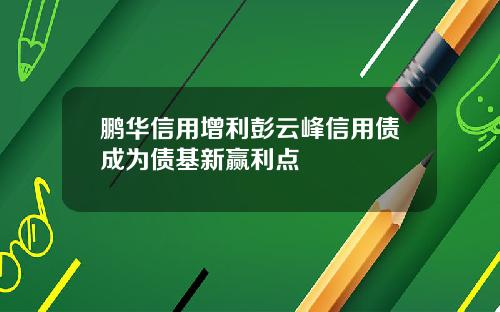 鹏华信用增利彭云峰信用债成为债基新赢利点