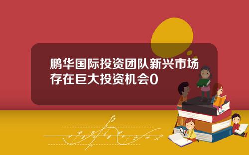 鹏华国际投资团队新兴市场存在巨大投资机会0