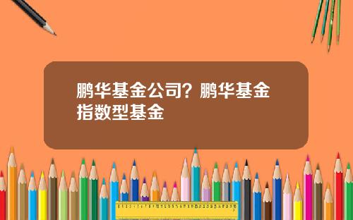 鹏华基金公司？鹏华基金 指数型基金