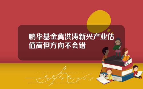 鹏华基金冀洪涛新兴产业估值高但方向不会错