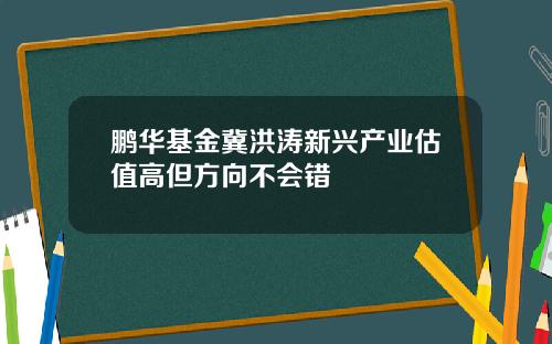 鹏华基金冀洪涛新兴产业估值高但方向不会错