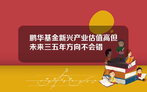 鹏华基金新兴产业估值高但未来三五年方向不会错