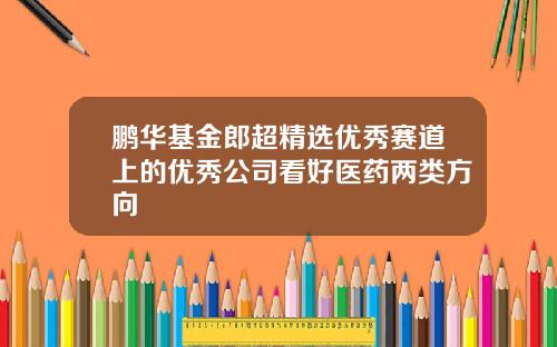 鹏华基金郎超精选优秀赛道上的优秀公司看好医药两类方向