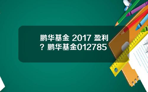 鹏华基金 2017 盈利？鹏华基金012785