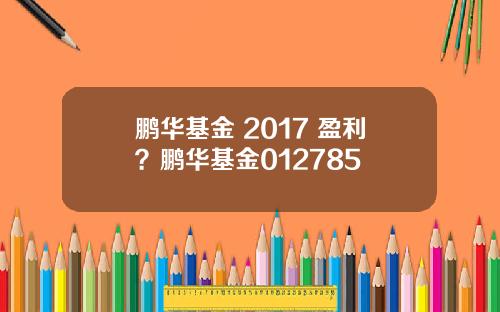 鹏华基金 2017 盈利？鹏华基金012785