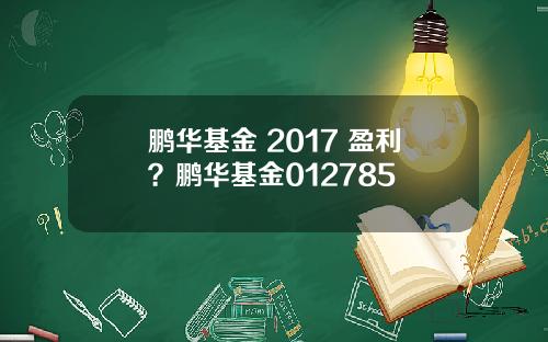 鹏华基金 2017 盈利？鹏华基金012785
