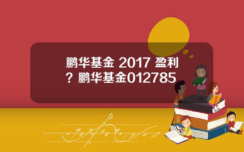 鹏华基金 2017 盈利？鹏华基金012785