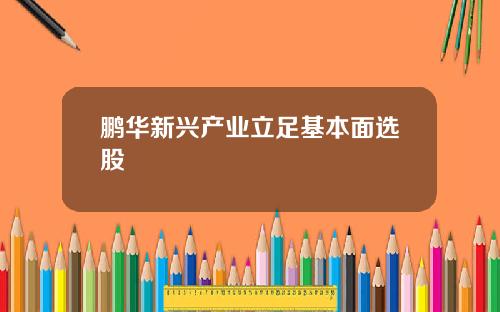 鹏华新兴产业立足基本面选股