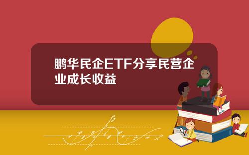 鹏华民企ETF分享民营企业成长收益