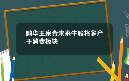 鹏华王宗合未来牛股将多产于消费板块