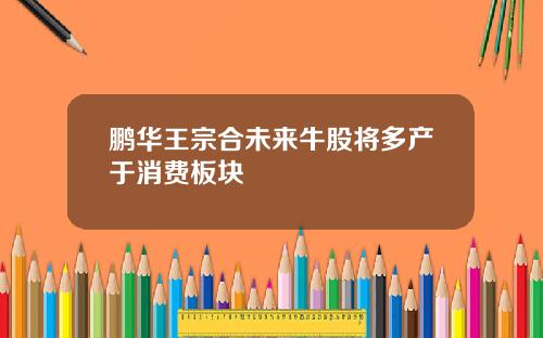 鹏华王宗合未来牛股将多产于消费板块