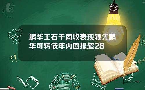 鹏华王石千固收表现领先鹏华可转债年内回报超28