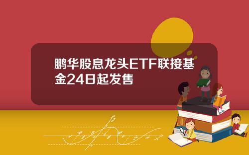 鹏华股息龙头ETF联接基金24日起发售