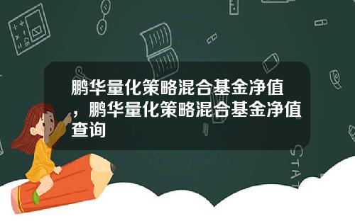 鹏华量化策略混合基金净值，鹏华量化策略混合基金净值查询