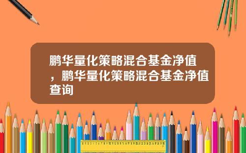 鹏华量化策略混合基金净值，鹏华量化策略混合基金净值查询
