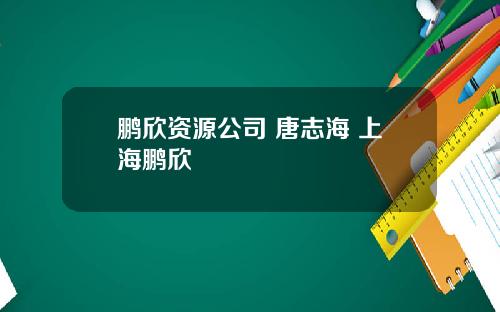 鹏欣资源公司 唐志海 上海鹏欣