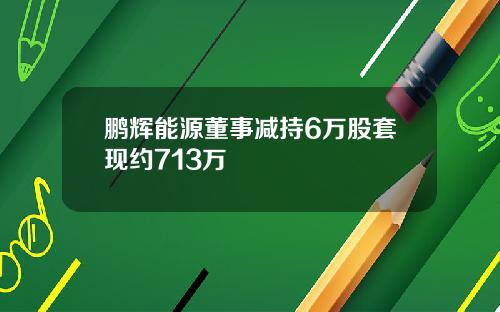 鹏辉能源董事减持6万股套现约713万