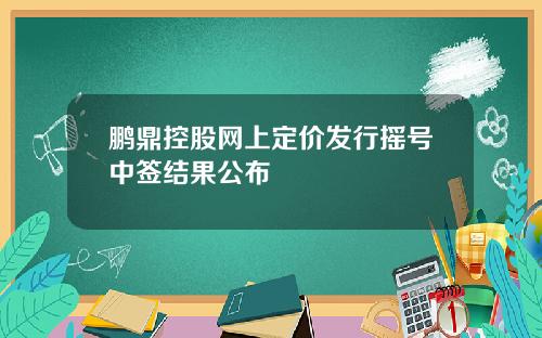 鹏鼎控股网上定价发行摇号中签结果公布