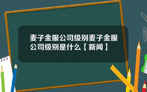 麦子金服公司级别麦子金服公司级别是什么【新闻】