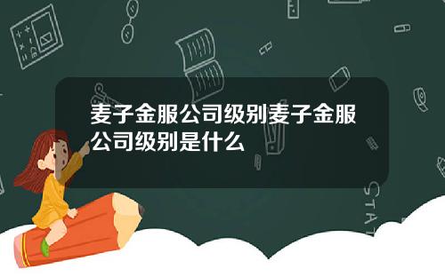 麦子金服公司级别麦子金服公司级别是什么
