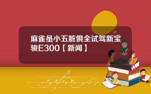 麻雀虽小五脏俱全试驾新宝骏E300【新闻】