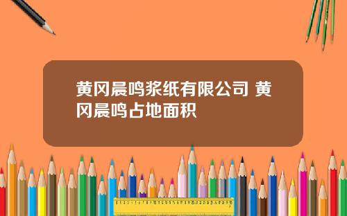 黄冈晨鸣浆纸有限公司 黄冈晨鸣占地面积