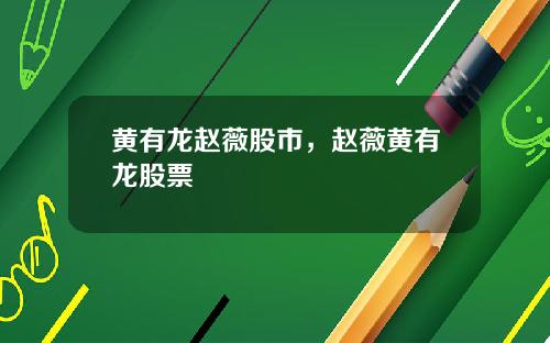 黄有龙赵薇股市，赵薇黄有龙股票